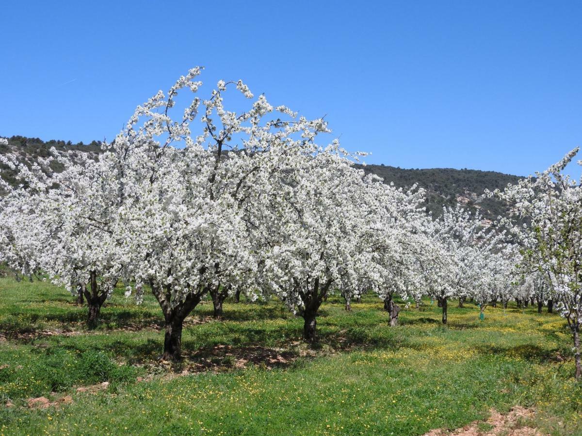 הוילה Villars  Les Petits Clements מראה חיצוני תמונה